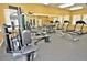 Community gym with modern exercise equipment including weight machines, treadmills, and free weights at 9568 W San Juan Cir # 307, Littleton, CO 80128