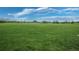 Large field with grassy area surrounded by trees in the background at 18619 E 50Th Pl, Denver, CO 80249