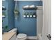 Stylish bathroom featuring blue walls, plant decor, and modern fixtures at 11165 W 58Th Ave, Arvada, CO 80002