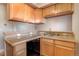 Modern kitchen with wood cabinets, granite countertops, and a dishwasher at 1629 N Clarkson St # 28, Denver, CO 80218