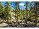 Backyard view with a stream running through the trees, creating a serene outdoor oasis at 46 Silver Creek Rd, Idaho Springs, CO 80452