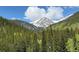 Scenic mountain view with snow-capped peaks, showcasing the natural beauty of the surrounding landscape at 46 Silver Creek Rd, Idaho Springs, CO 80452