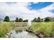 Community water feature and greenspace with pond and fountain surrounded by mature trees at 3952 S Carson St # 103, Aurora, CO 80014