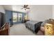Comfortable bedroom with blue accent wall, carpeted floor and a large window for natural light at 2859 Cagle Dr, Larkspur, CO 80118