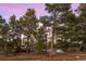 Charming exterior view of a gray cabin nestled among tall pine trees under a twilight sky at 2859 Cagle Dr, Larkspur, CO 80118
