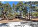 Charming home exterior surrounded by tall pine trees and a partially snow covered lawn, accessed by a wooden porch at 2859 Cagle Dr, Larkspur, CO 80118