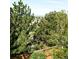 A backyard view of lush trees beyond a wood fence under a hazy sky at 9481 Longstone Dr, Parker, CO 80134