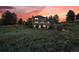 The back of a home features a stone retaining wall and a green lawn at 5855 Saddle Creek Trl, Parker, CO 80134