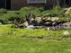Backyard pond surrounded by lush green plants and grass, featuring ducks landing in the water at 7472 S Utica St, Littleton, CO 80128