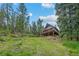 Beautiful backyard with a view of a cabin-style house surrounded by mature trees at 32462 Lodgepole Dr, Evergreen, CO 80439
