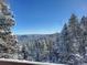 Serene mountain views with snow-covered pine trees under a clear blue sky, creating a winter wonderland scene at 32462 Lodgepole Dr, Evergreen, CO 80439
