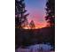 Breathtaking mountain views at sunset, framed by majestic trees, creating a peaceful backdrop at 32462 Lodgepole Dr, Evergreen, CO 80439