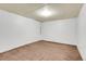 Unfinished basement space with carpet flooring and bright overhead lighting at 10142 Josephine St, Thornton, CO 80229