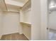 Walk-in closet featuring carpet and custom shelving at 11213 Vilas St, Parker, CO 80134