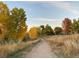 Scenic walking path surrounded by colorful autumn foliage, offering a peaceful outdoor escape at 3425 W 111Th Loop # B, Westminster, CO 80031