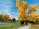 Street view showcasing a tree-lined neighborhood with sidewalks and well-maintained properties at 3425 W 111Th Loop # B, Westminster, CO 80031