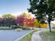 Residential street featuring a variety of trees in autumnal colors and a well-kept neighborhood at 3425 W 111Th Loop # B, Westminster, CO 80031