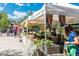 Bustling outdoor produce stand with fresh vegetables and customers enjoying the local market at 7883 W 55Th Ave, Arvada, CO 80002