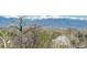 Mountain view with trees, fields, and distant buildings at 6406 Silver Mesa Dr # F, Highlands Ranch, CO 80130