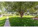 Great view of the large backyard featuring mature trees, grass and landscaping at 930 Reed Ct, Lakewood, CO 80214