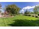Expansive backyard showcasing the well-manicured lawn and mature trees at 930 Reed Ct, Lakewood, CO 80214