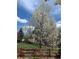 Scenic yard featuring a beautiful flowering tree, a wooden fence, and blue sky with white clouds at 6700 W Dorado Dr # 51, Littleton, CO 80123