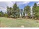 Picturesque backyard with lush trees, creating a serene, private oasis for outdoor enjoyment and relaxation at 26367 Pressler St, Conifer, CO 80433