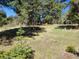 Expansive backyard with a charming residence nestled among mature trees at 26367 Pressler St, Conifer, CO 80433