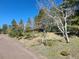 Scenic landscape view with a variety of lush trees and a rustic road at 26367 Pressler St, Conifer, CO 80433