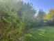 View of the lush, green backyard bordered by mature trees, offering privacy and a natural setting at 3201 S Albion St, Denver, CO 80222