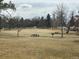 Open park space featuring a grassy field, picnic tables and a soccer goal for recreational activities at 3201 S Albion St, Denver, CO 80222