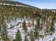 Stunning aerial view of a house nestled among tall trees and a snow-covered landscape, showcasing its serene setting at 1580 Santa Fe Mountain Rd, Evergreen, CO 80439