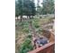 Landscaped backyard view shows a rock-lined stream with white flowers, green grass, and beautiful trees in background at 1580 Santa Fe Mountain Rd, Evergreen, CO 80439