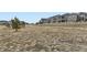 A grassy landscape with a sidewalk and houses in the background at 7214 S Shady Grove Ct, Aurora, CO 80016
