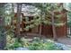 Exterior daytime shot shows a cozy wood home surrounded by trees and a stone pathway to the front door at 133 Mine Ln, Boulder, CO 80302