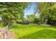 Serene backyard features a trampoline, lush greenery, and shade trees, creating a private outdoor oasis at 2876 S Wolff St, Denver, CO 80236