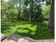 Expansive backyard with mature trees, a wooden fence, and a well-maintained lawn at 6941 S Poplar Way, Centennial, CO 80112