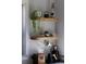 Charming kitchen decor with floating shelves holding plants, tea kettle and decorative objects at 1842 S Fairfax St, Denver, CO 80222