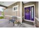 Charming front porch with a vibrant purple door, seating, and decorative floral arrangements at 13942 W 87Th Dr, Arvada, CO 80005