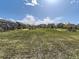 Grassy field in a residential area with several homes in the background under a sunny sky at 917 White Leaf Cir, Castle Rock, CO 80108