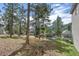 Sloping back yard with mature trees, landscaped areas and partial view of other homes at 31042 Wildwoods, Evergreen, CO 80439