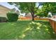 Picture perfect yard with lovely lawn, mature trees, and a handsome wooden fence at 6463 S Vance St, Littleton, CO 80123