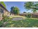 Backyard with grass, trees and shed at 6054 Iris Way, Arvada, CO 80004
