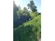 Lush, green hillside with mature trees and a stream, offers a peaceful natural setting at 140 E Highline Cir # 304, Centennial, CO 80122