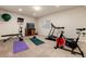 Finished basement space with carpet, window, and multiple exercise machines at 27235 E Lakeview Pl, Aurora, CO 80016