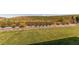 Large, well-manicured backyard with lush green grass and mature landscaping at 9571 Yucca Ct, Arvada, CO 80007