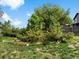Lush backyard featuring blooming rose bushes and mature trees at 10978 Roseanna Dr, Northglenn, CO 80234