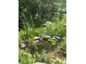 Backyard pond surrounded by lush greenery, creating a serene outdoor space at 248 Summit Trl, Broomfield, CO 80020