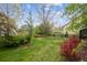 Lush backyard with mature trees, green grass, and colorful foliage at 248 Summit Trl, Broomfield, CO 80020