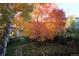 Backyard view with lush landscaping, mature trees with colorful fall foliage, and a stone pathway at 248 Summit Trl, Broomfield, CO 80020